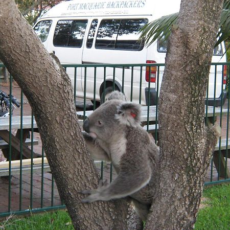 Port Macquarie Backpackers 호스텔 외부 사진